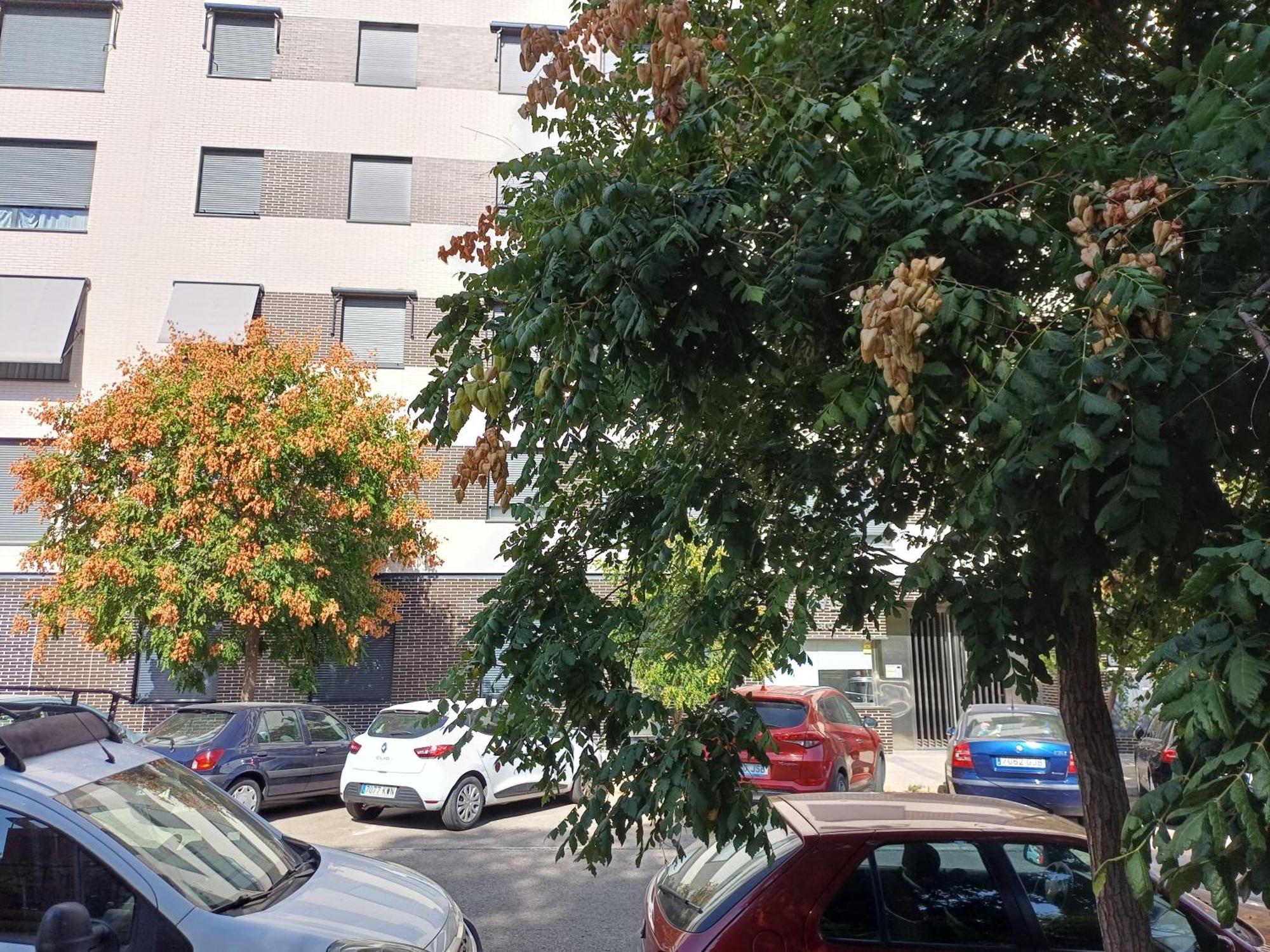 Estudios Nuevos Madrid Centro Екстер'єр фото
