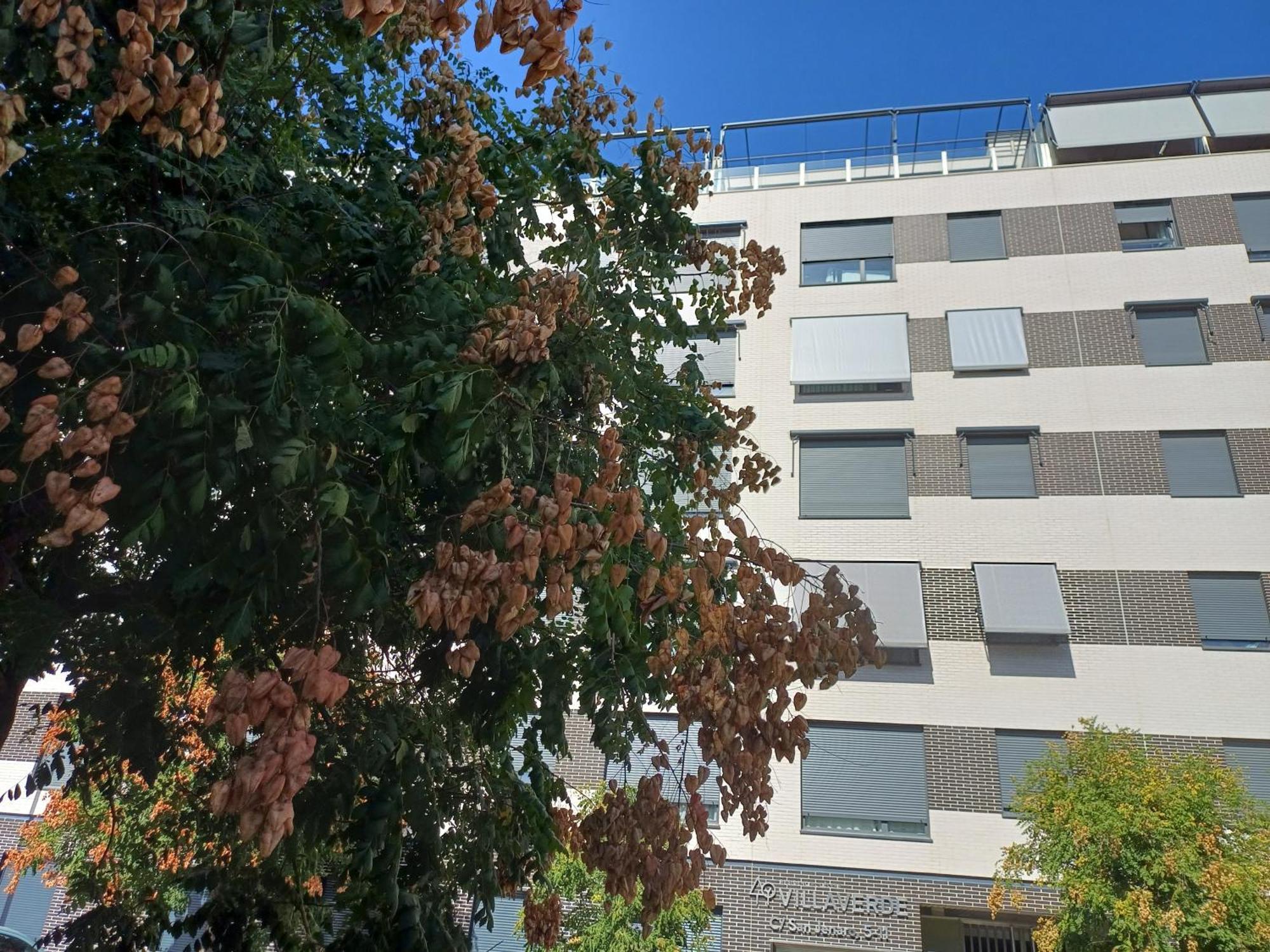 Estudios Nuevos Madrid Centro Екстер'єр фото
